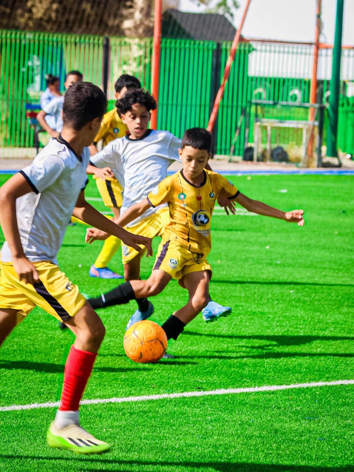 صورة من الملعب 2